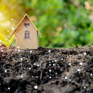 Logements à construire et à calibrer : d’abord trouver le terrain idéal pour y développer un projet immobilier Trouver le terrain idéal pour y développer un projet immobilier