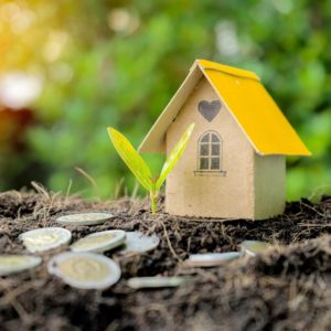 Vendre son bien immobilier et donner de la valeur à son terrain en développant un projet de logements neufs avec l'agence Désormière & Vanhalst