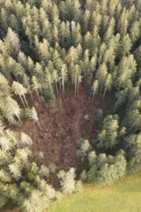 environnement-desormiere-vanhalst-arbre-almighty-tree_trou L'agence immobilière Désormière & Vanhalst s'engage à replanter des arbres avec Almighty Tree