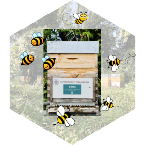 pour la sauvegarde des abeilles_ruche_desormiere-vanhalst_fondation des abeilles_miels de stephanie_ruches_troinex Pour la sauvegarde des abeilles: l'agence immobilière Désormière et Vanhalst parraine une ruche à Troinex