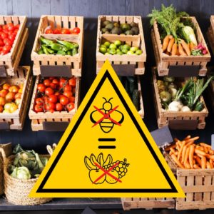 pour la sauvegarde des abeilles_pollinisation_fruits et legumes_desormiere-vanhalst_fondation des abeilles_miels de stephanie_pollinisation Pour la sauvegarde des abeilles: leur activité de pollinisation est essentielle pour assurer la la production de fruits et légumes. L'agence immobilière Désormière et Vanhalst parraine une ruche à Troinex