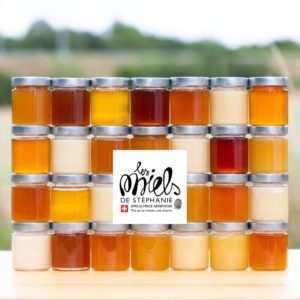 pour la sauvegarde des abeilles_desormiere-vanhalst_fondation des abeilles_pots des miels de stephanie Pour la sauvegarde des abeilles: l'agence immobilière Désormière et Vanhalst parraine la Fondation l'Arche des Abeilles et les Miels de Stéphanie