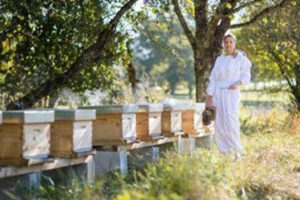 pour la sauvegarde des abeilles_desormiere-vanhalst_fondation des abeilles_pots des miels de stephanie_image02 Pour la sauvegarde des abeilles: l'agence immobilière Désormière et Vanhalst parraine la Fondation l'Arche des Abeilles et les Miels de Stéphanie